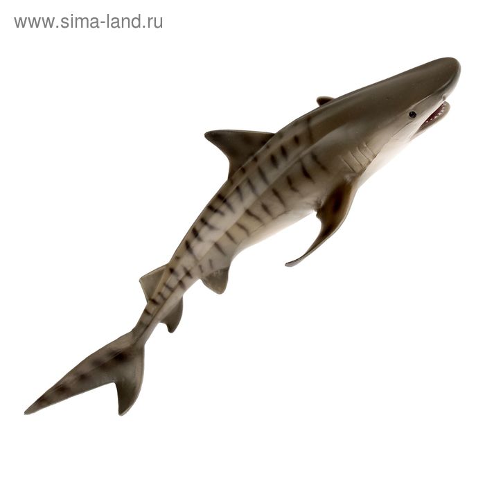 Фигурка «Тигровая акула» фигурка акула мегалодон 25 см