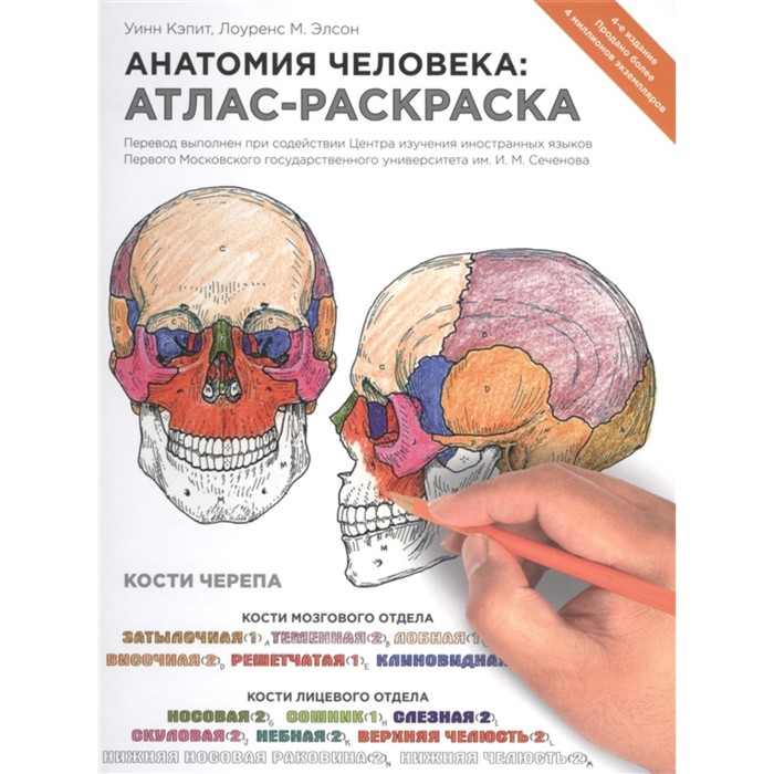 Анатомия человека: атлас-раскраска, Элсон Л., Кэпит У. анатомия человека атлас раскраска