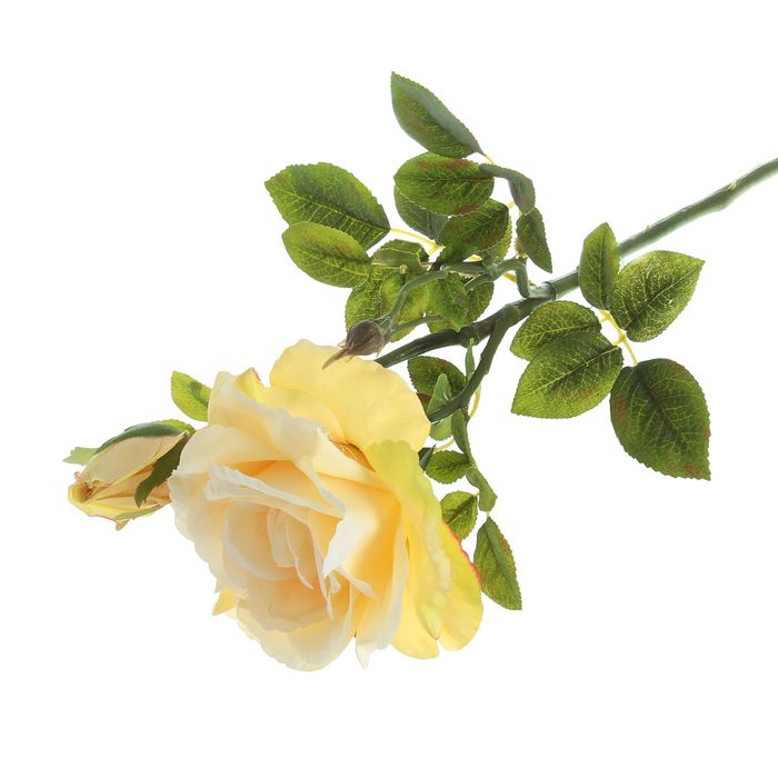 Цветы искусственные "Роза Фьерро" кремовая