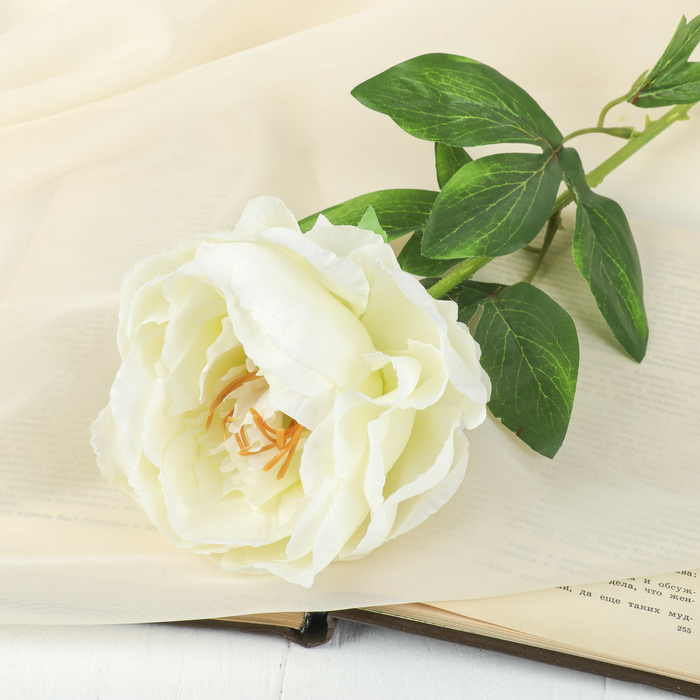 Цветок искусственный "Пион" белый