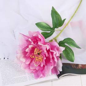 Цветы искусственные "Георгин Фин" розовый 15*57 см