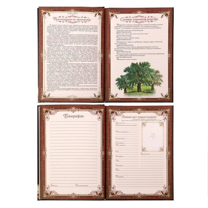Родословная книга «Древо», 56 листов, 16,5 х 24 см