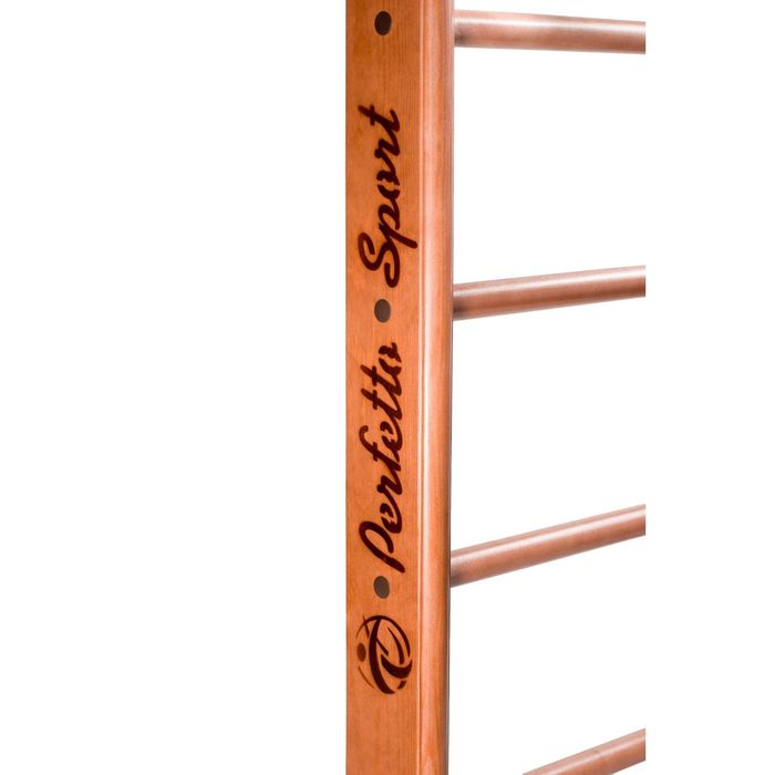 Детский спортивный комплекс (ДСК) "Perfetto sport" Rapido PS-102 с тренажером Vinsere