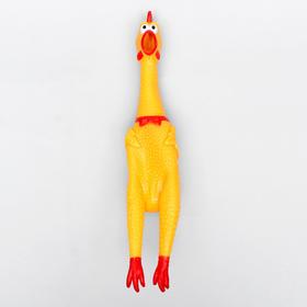 

Игрушка пищащая "Удивленная курица" для собак, 30 см, микс