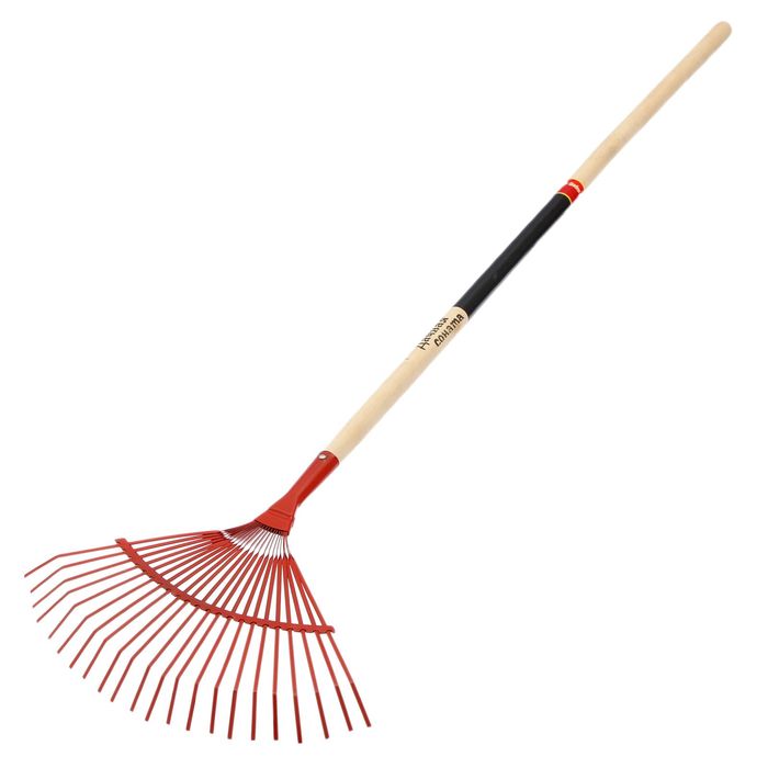 Грабли веерные, пластинчатые, 22 зубца, металл, деревянный черенок