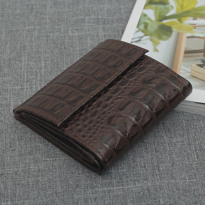 Кошелёк женский, 1 отдел для бумажных купюр, цвет коричневый