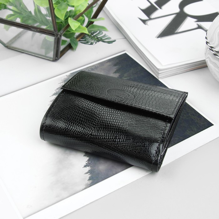 Кошелёк женский, 2 отдела, для карт, для монет, игуана чёрный