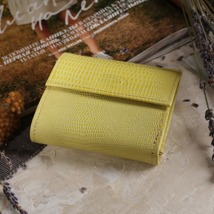 Кошелёк женский, 2 отдела, для карт, для монет, игуана жёлтый