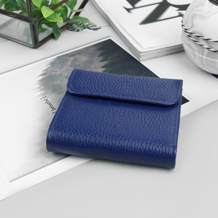 Кошелёк женский, 2 отдела, для карт, флотер, цвет васильковый