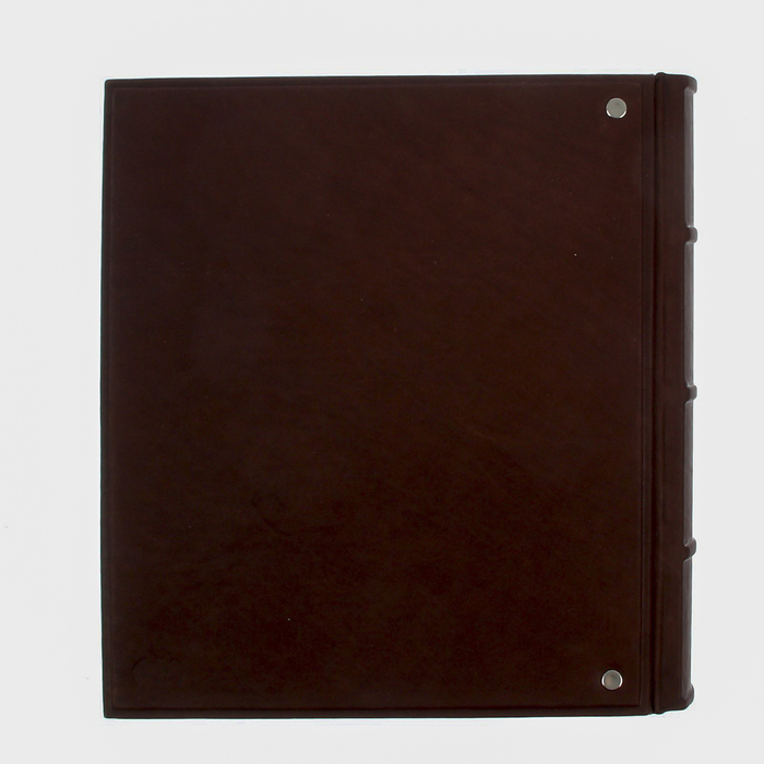 Фотоальбом 20 магнитных листов формат А4 "Наша семья" 32х27 см