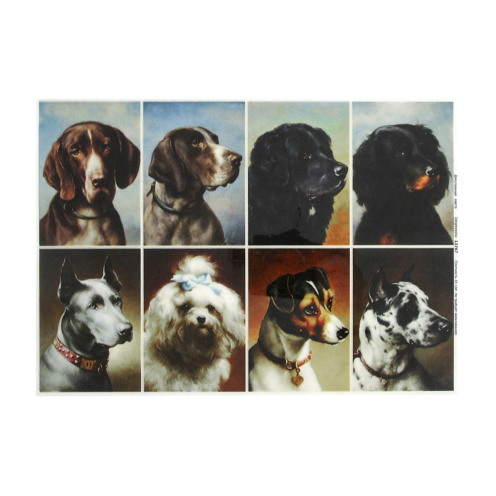 Декупажная карта "Пушистики" плотность 45 г/м2 формат А4