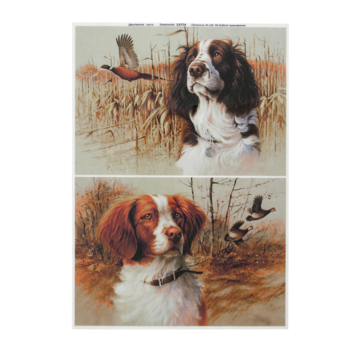 Декупажная карта "Охота на уток" плотность 45 г/м2 формат А4