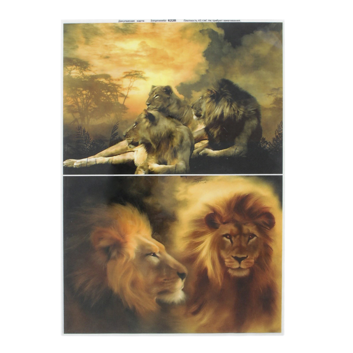 Декупажная карта "Львиные прерии" плотность 45 г/м2, формат А4