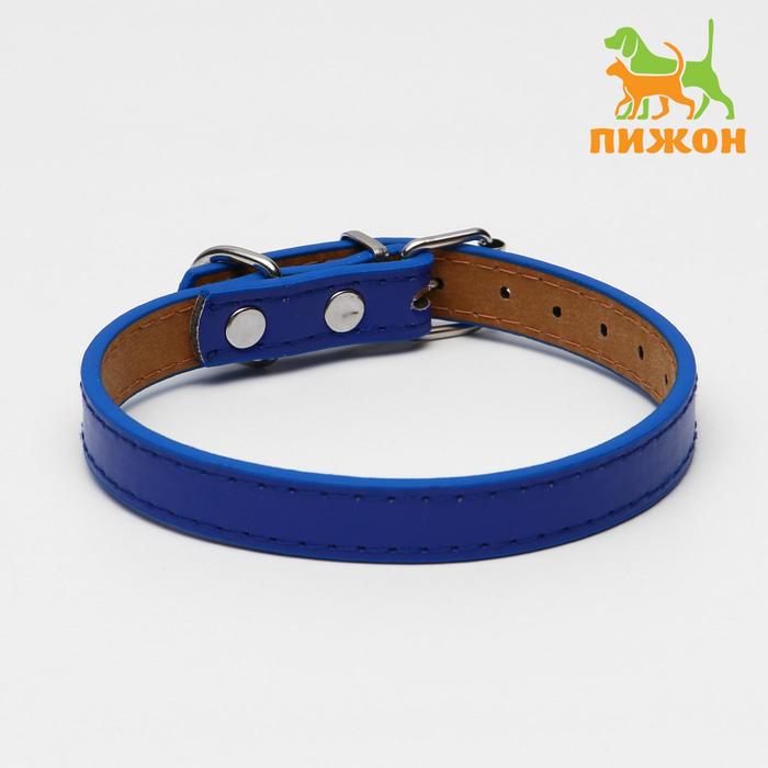 Ошейник из искусственной кожи с подкладкой "под кожу", 39,5 х 1,5 см, синий