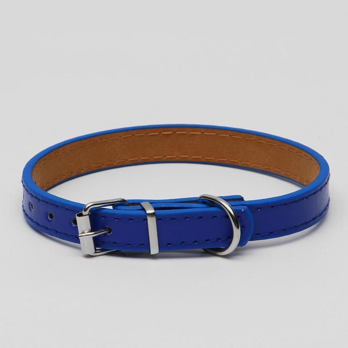 Ошейник из искусственной кожи с подкладкой "под кожу", 39,5 х 1,5 см, синий