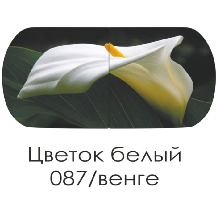 Стол раскладной Прага цветок белый/венге