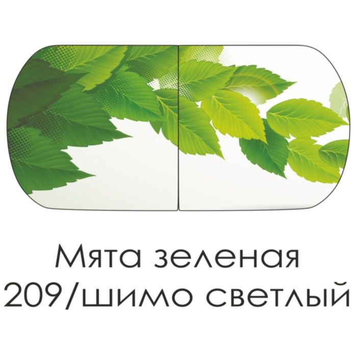Стол раскладной Прага мята зеленая/ясень шимо светлый