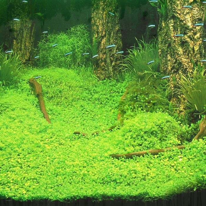 Фон для аквариума FA-1017, 40 см, рулон 25 м