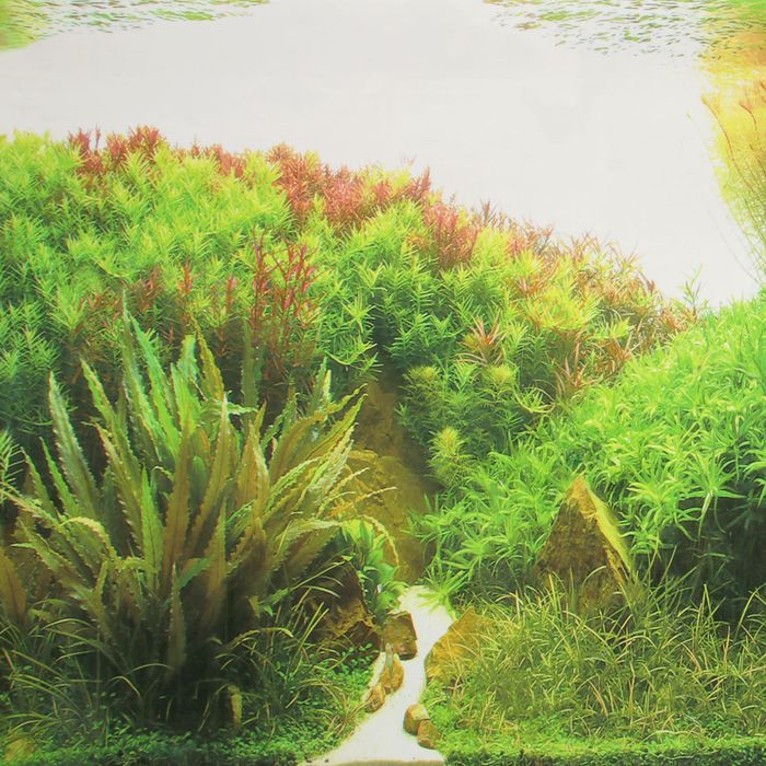 Фон для аквариума FA-1021, 50 см, рулон 25 м