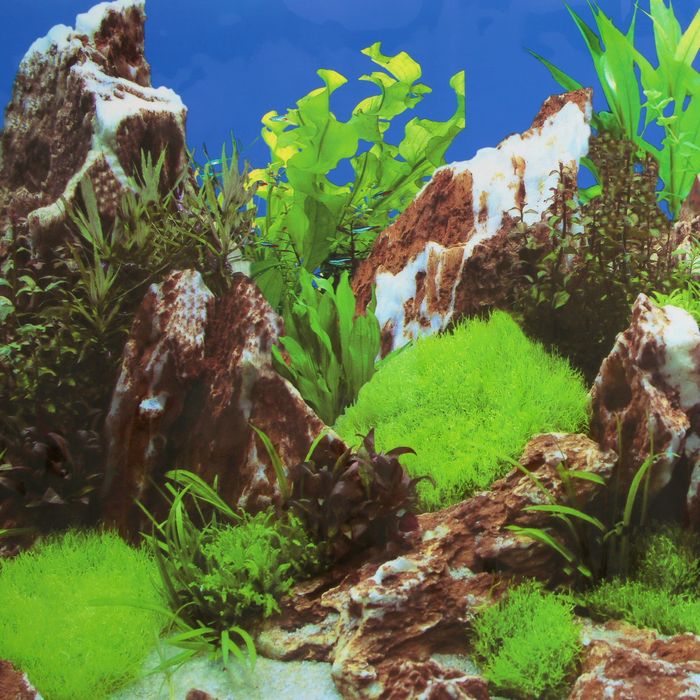 Фон для аквариума FA-1004, 50 см, рулон 25 м