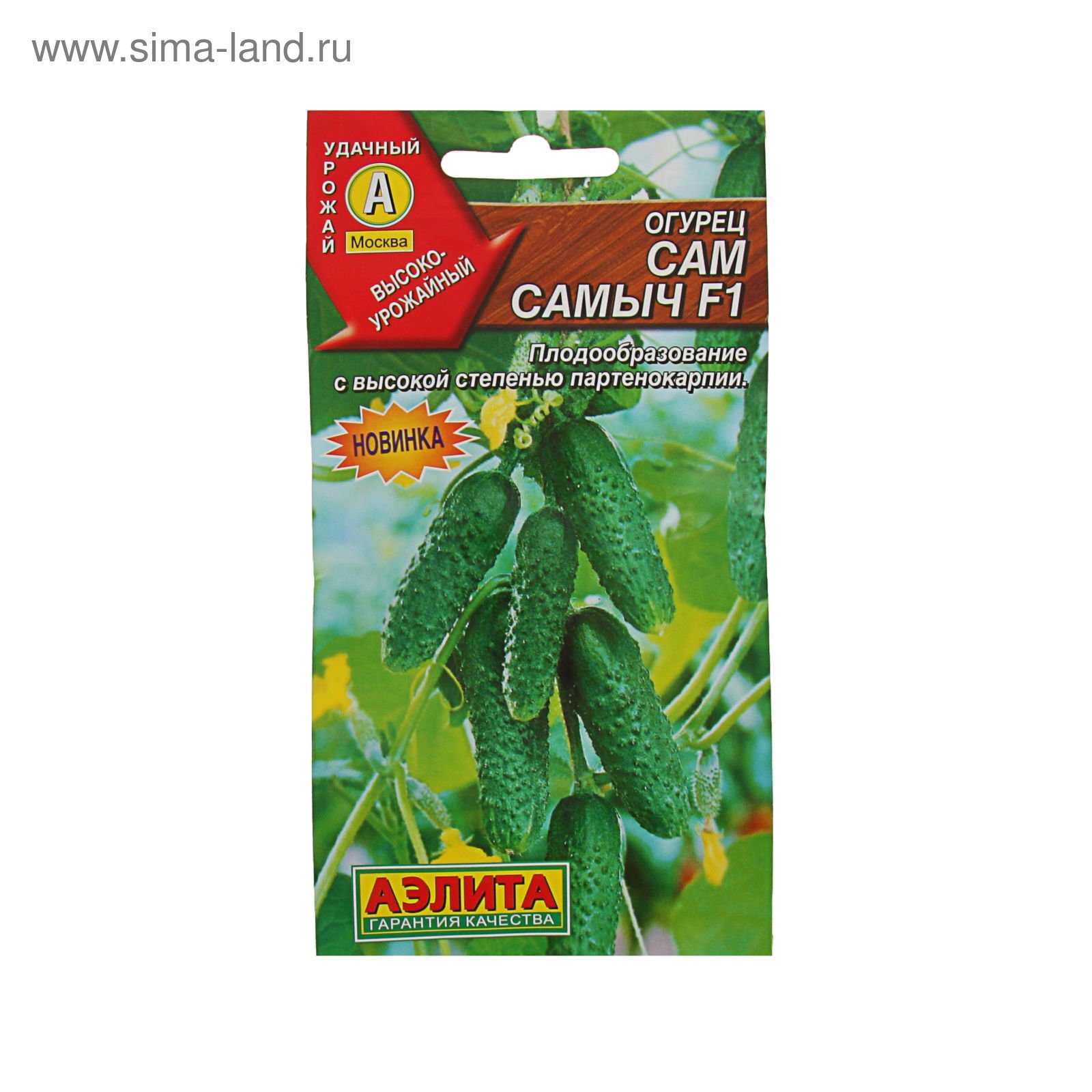 Сорт огурцов антошка. Огурец сорт шпингалет. Огурец шпингалет f1. Огурец шпингалет f1 семена. Огурец сорт шпингалет.