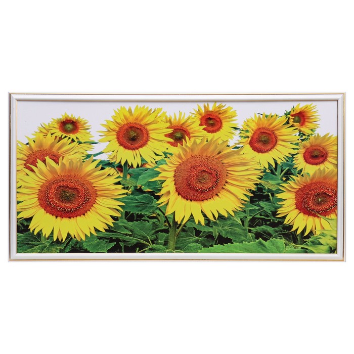 Картина "Подсолнухи" 36х73 см