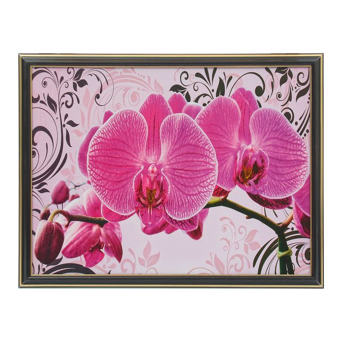 Картина "Розовая орхидея" 33х43 см