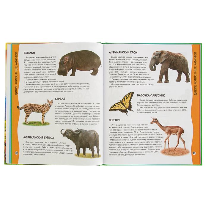 Всезнайка «Энциклопедия животных»