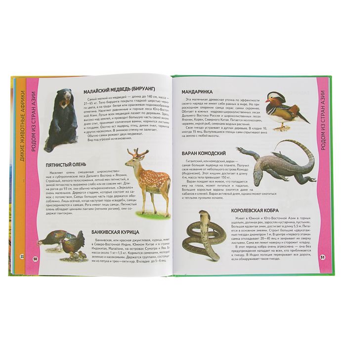 Всезнайка «Энциклопедия животных»