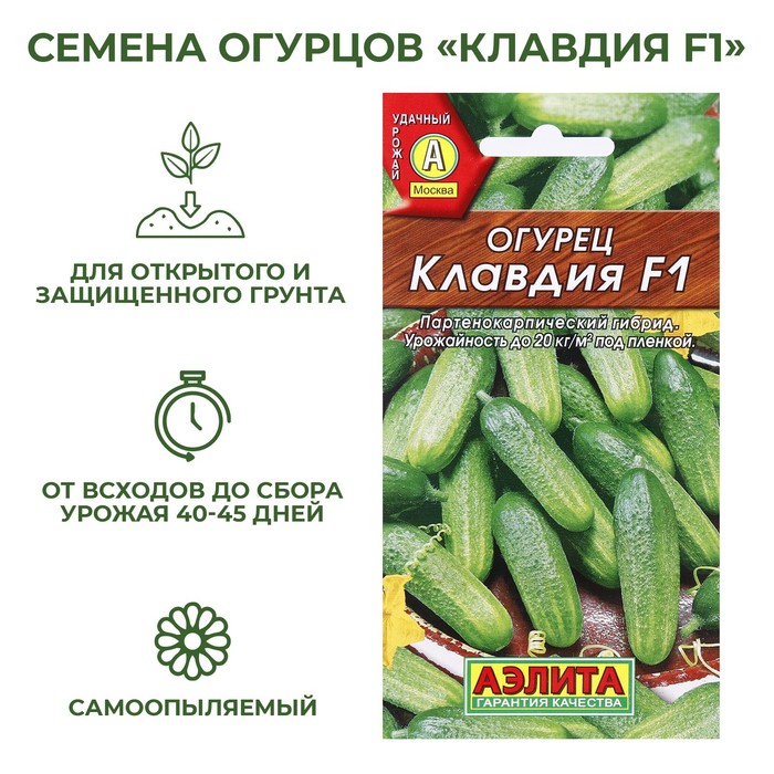 Семена Огурец Клавдия F1, раннеспелый, партенокарпический, 10 шт
