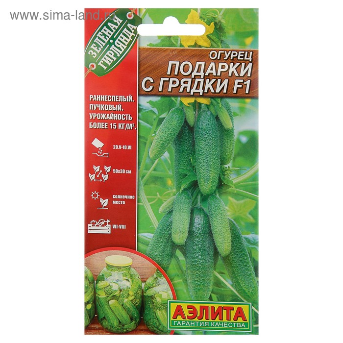 Семена Огурец Подарки с грядки F1, раннеспелый, партенокарпический, 10 шт. цена и фото