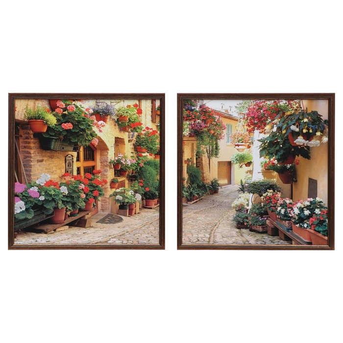 Модульная картина в раме "Улочка в цветах"