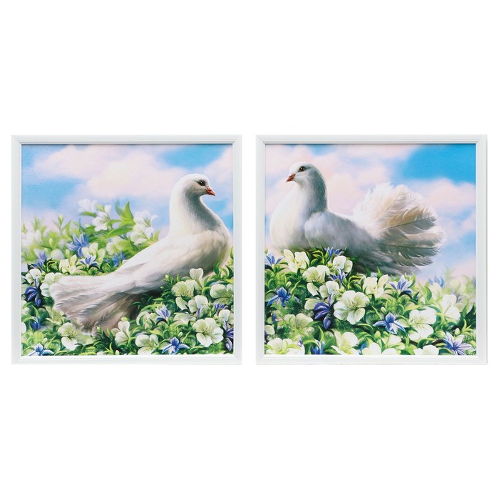 Модульная картина в раме "Белые голуби", 33×66 см
