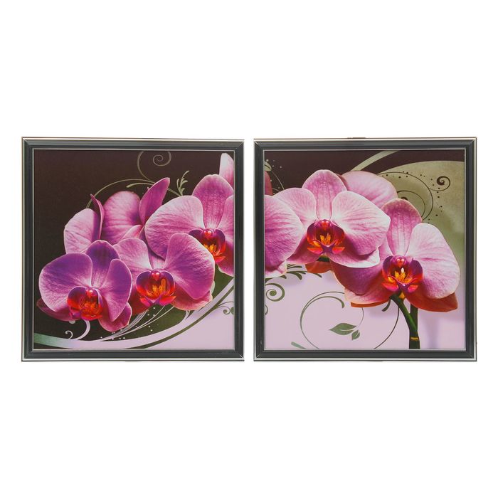 Модульная картина в раме "Розовая орхидея", 33×66 см