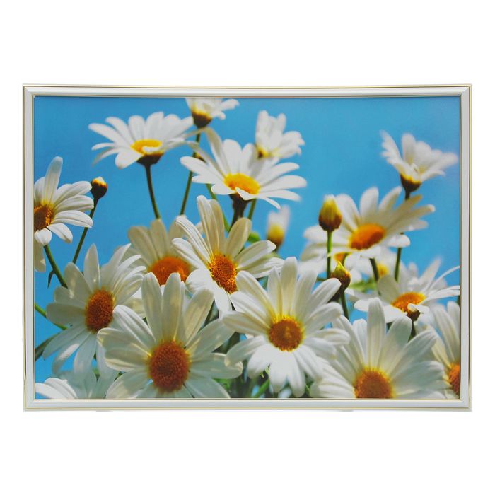 Картина "Ромашки" 55х74 см