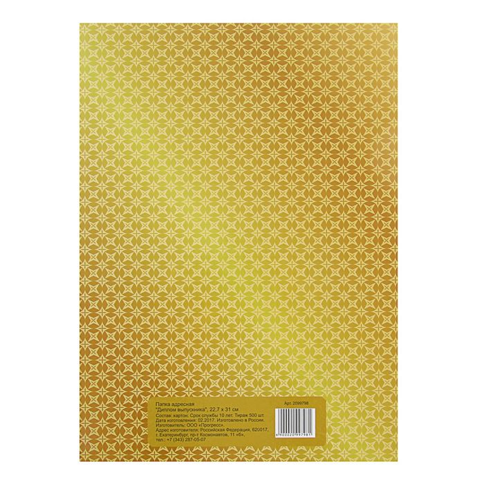 Папка "Диплом выпускника" А4, 1 файл