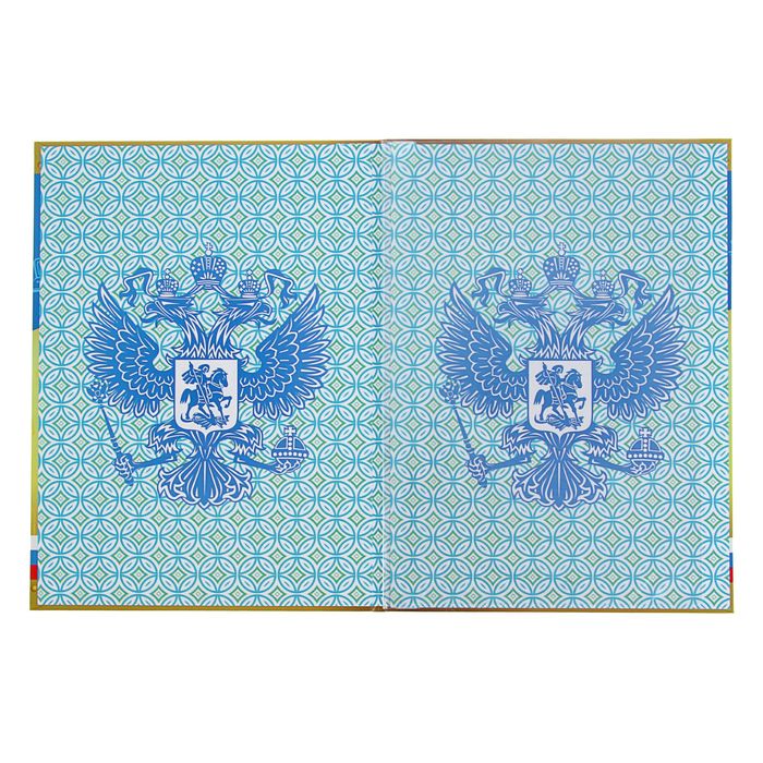 Папка "Диплом выпускника" Флаг, герб РФ, А4, 1 файл