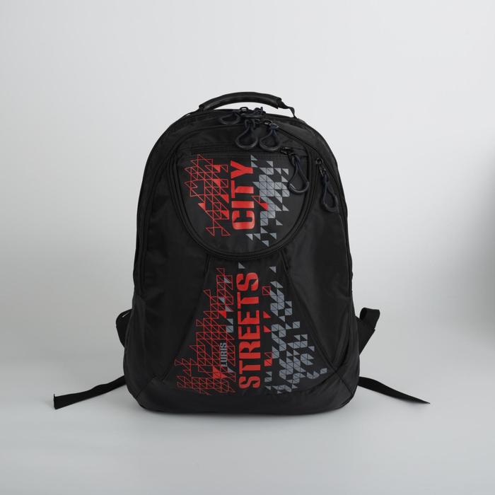 Рюкзак на молнии, 2 отдела, наружный карман, цвет чёрный