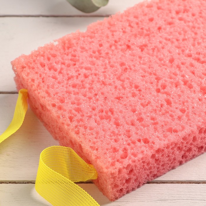 Губка-Мочалка "Домашняя"