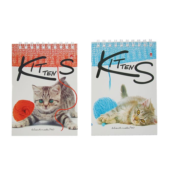 Блокнот А6, 40 листов на гребне "Котята", обложка картон, блок офсет 55г/м2, 5 видов микс
