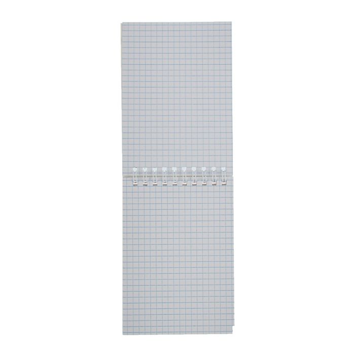 Блокнот А6, 40 листов на гребне "Котята", обложка картон, блок офсет 55г/м2, 5 видов микс