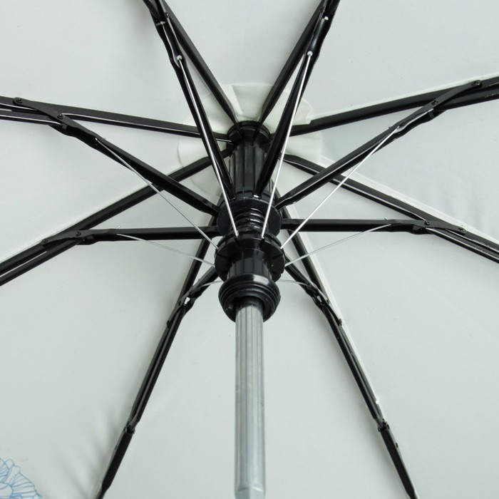 Зонт полуавтоматический "Одуванчики", R=55см, цвет молочный