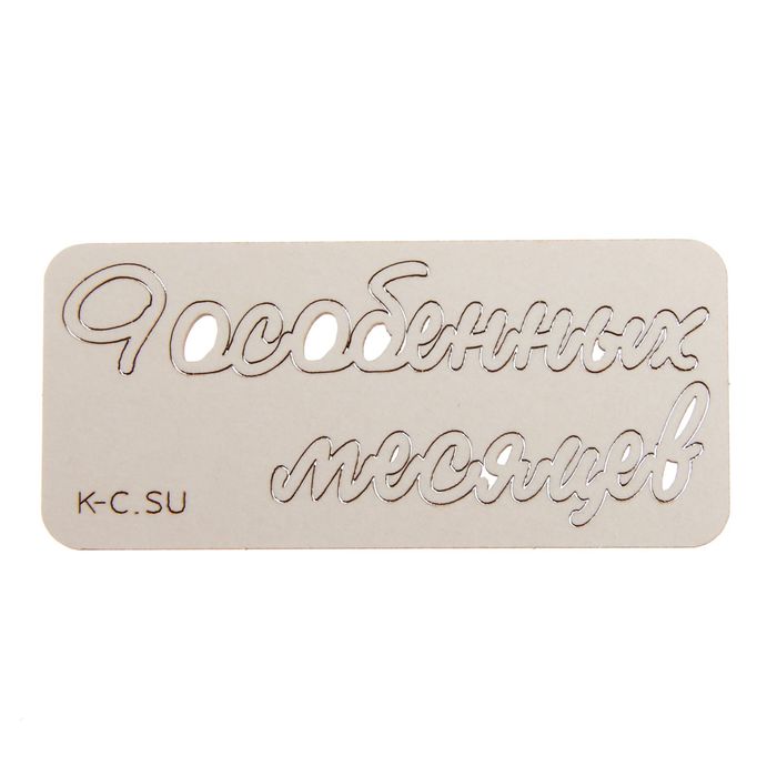 Чипборд из картона (3 шт) "9 особенных месяцев№1 мини" 6,4х1,4 см,5,2х1,7 см