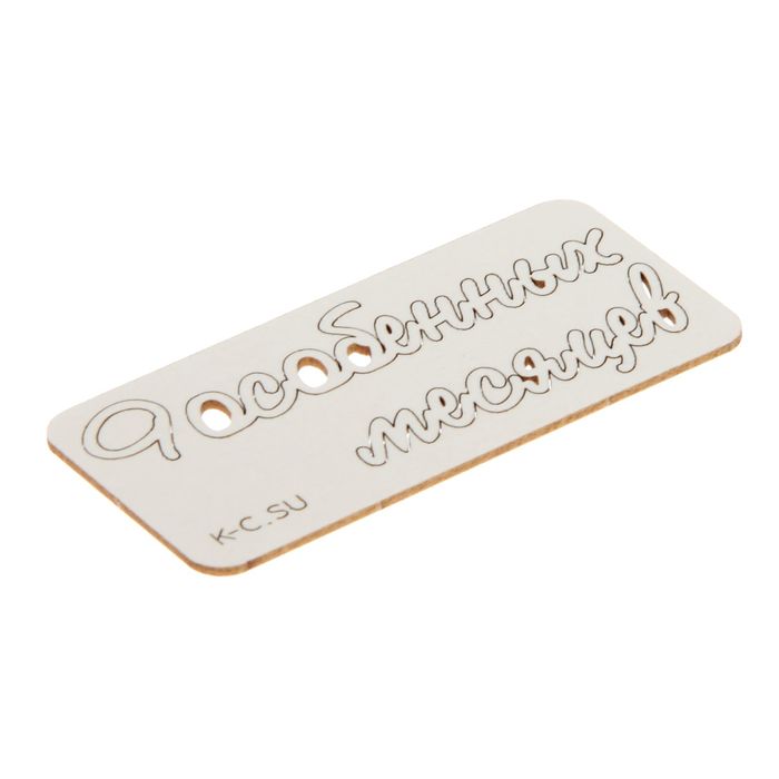 Чипборд из картона (3 шт) "9 особенных месяцев№1 мини" 6,4х1,4 см,5,2х1,7 см