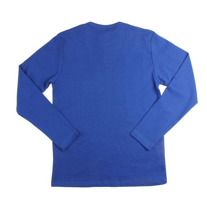 Джемпер мужской арт.0740, цвет василек, размер M