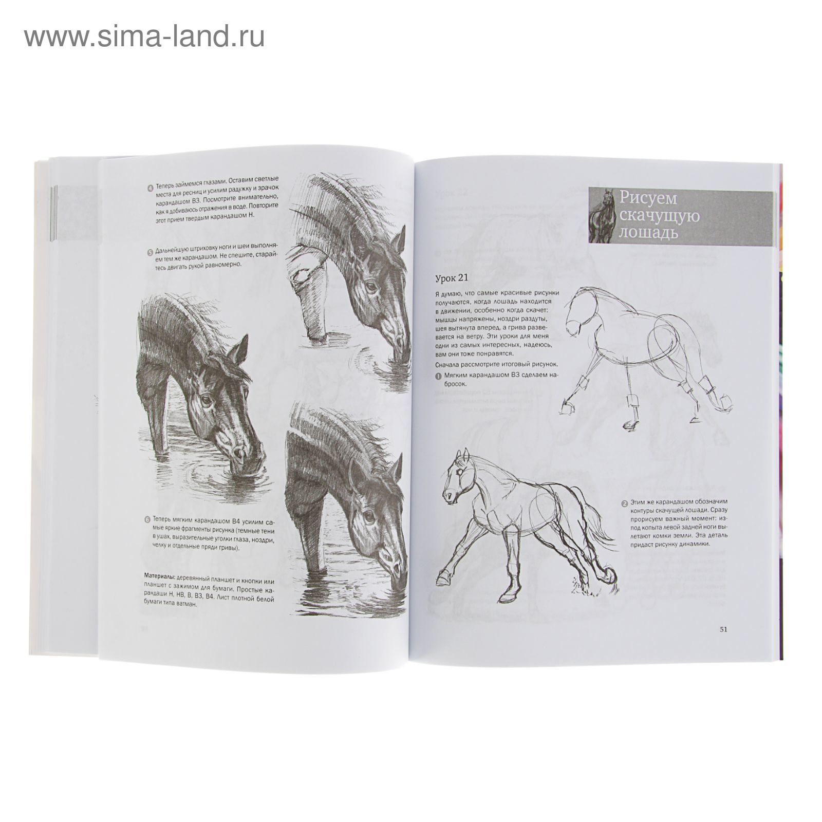 Книга про лошадей рисунок легко