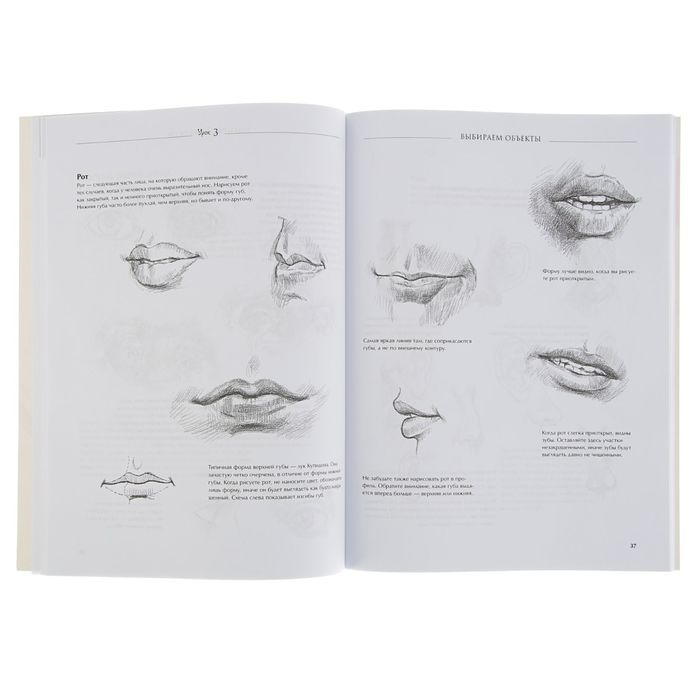 Искусство и дизайн. 7 простых уроков рисования. Автор: Б. Барбер