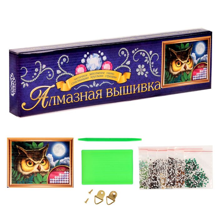 Алмазная вышивка с частичным заполнением "Сова", 40 х 30 см