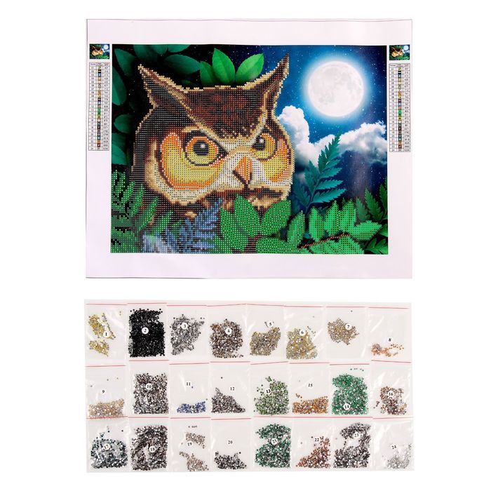 Алмазная вышивка с частичным заполнением "Сова", 40 х 30 см