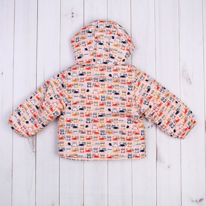 Куртка для девочки, рост 92 см, цвет оранжевый, принт котята ЯВ128779_М